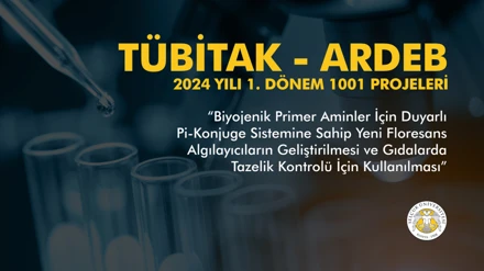 Prof. Dr. Serkan Erdemir'in TÜBİTAK projesi kabul edildi